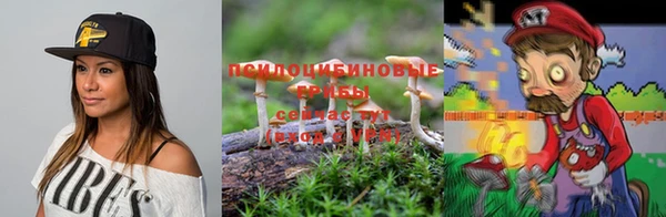 хмурый Абдулино