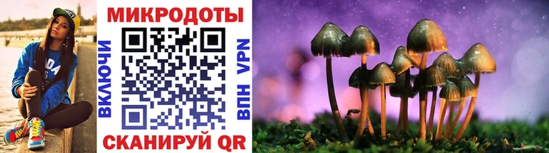 Галлюциногенные грибы Psilocybe  omg ТОР  Советская Гавань  как найти  